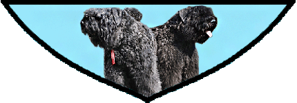SITE WEB ELEVAGE DU CLOS DE LA LUETTE SPECIALISE POUR LE BOUVIER DES FLANDRES &copy; COPYRIGHT DEPOSE